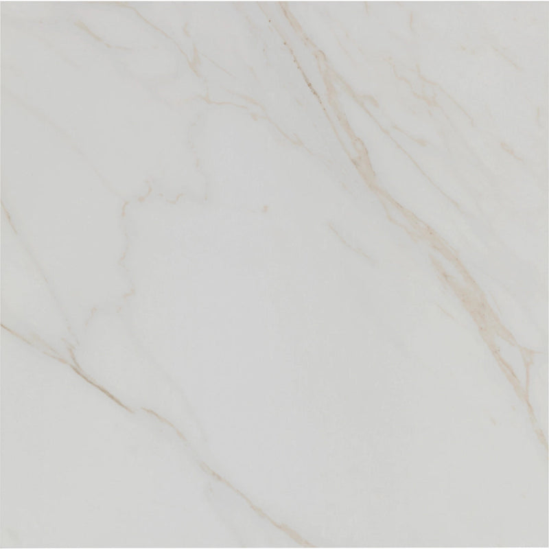 Tile Shop I Tresana 24x24 Polished White