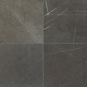 Daltile Marble 12" x 24" Polished Antico Scuro