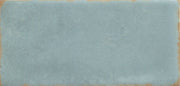 Emser Antigo 2" x 5" Polished Mist