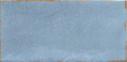 Emser Antigo 2" x 5" Polished Ocean