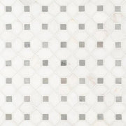 MS International Natural Stone Marble 12" x 12" Mosaic Bianco Dolomite Dotty
