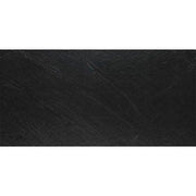 Daltile Delegate 12" x 24" Black