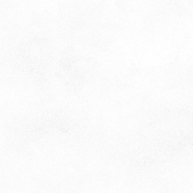 Emser Citizen 12" x 24" Matte Civilian
