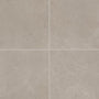 Coliseum Gray
