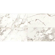 Daltile Marble Attache 12" x 24" Matte Calacatta