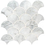 Calacatta Blanco Scallop