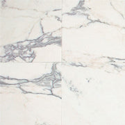 Daltile Marble 12" x 24" Polished Calacatta Gold