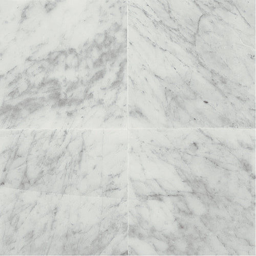 Daltile Marble 12" x 24" Honed Carrara White