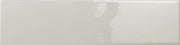 Emser Catch 2" x 8" Polished Fawn Glossy