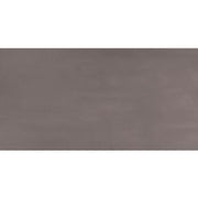 Daltile Synchronic 12" x 24" Matte Charcoal