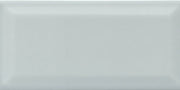 Emser Choice II 3" x 6" Bevel Polished Gray