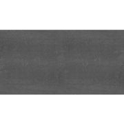 Daltile Fixture 24" x 48" Polished Coal