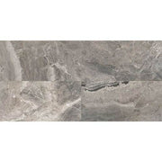 Daltile Marble Attache 12" x 24" Matte Crux