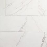 Daltile Artsy 12" x 24" Matte Studio Carrara