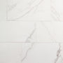 Studio Carrara
