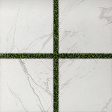 Studio Carrara