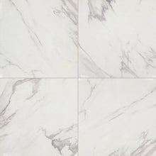 Studio Carrara
