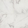 Studio Carrara