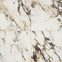 Calacatta Aries
