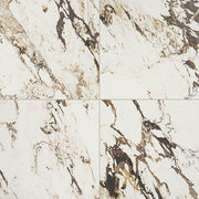 Daltile Panoramic Duet 24" x 24" Polished Calacatta Aries