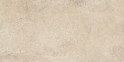 Daltile Courier 24" x 48" Xterior Paver Textured Rockwell