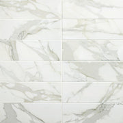 Daltile Platinum 6" x 18" Glossy Magnolia