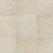 Daltile Platinum 12" x 12" Matte Almond