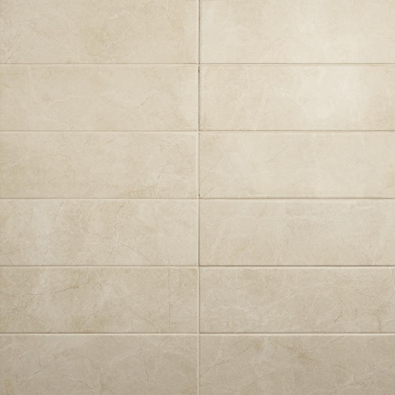 Daltile Platinum 12" x 24" Matte Almond