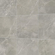 Daltile Platinum 12" x 12" Matte Dove