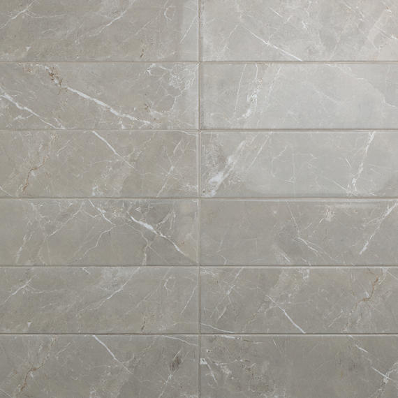 Daltile Platinum 12" x 24" Matte Dove