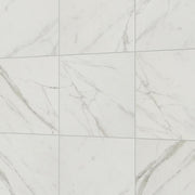 Daltile Platinum 12" x 12" Matte Calacatta Empire