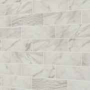 Daltile Platinum 12" x 24" Matte Calacatta Empire