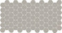 Desert Gray