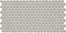 Desert Gray