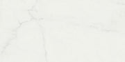 Daltile Grantshire 12" x 24" Glue Down 2 MM 12 MIL Solara White