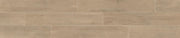 Daltile Platinum 6" x 36" Matte Natural HH01