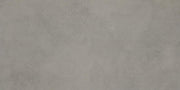 Daltile Indoterra 24" x 48" Stepwise Matte Trail