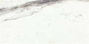Daltile Eclessia Marble 12" x 24" Honed Volakas