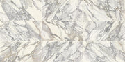 Daltile Eclessia Marble 12" x 24" Honed Arabescato Argento