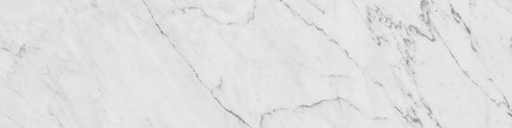 Daltile Marble Attache Lavish 12" x 24" Polished Diamond Carrara