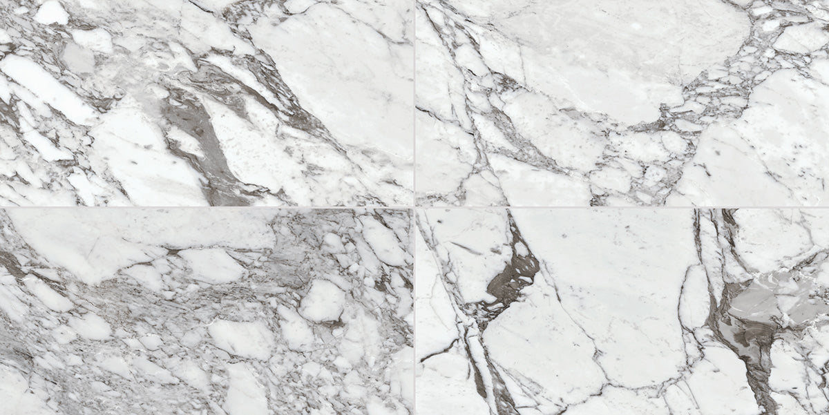 Daltile Marble Attache Lavish 32'' x 32'' Polished Pearl Arabesque