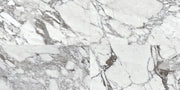 Daltile Marble Attache Lavish 32'' x 32'' Polished Pearl Arabesque