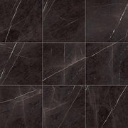 Daltile Marble Attache 24" x 24" Satin Nero