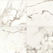 Daltile Marble Attache 24" x 24" Polished Calacatta