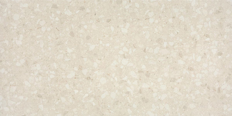 Daltile Outlander 24" x 48" Grande Lumen