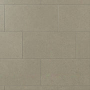 Daltile Outlander 12" x 24" Palazzo Echo