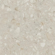 Daltile Outlander 24" x 48" Grande Satin Polished Echo