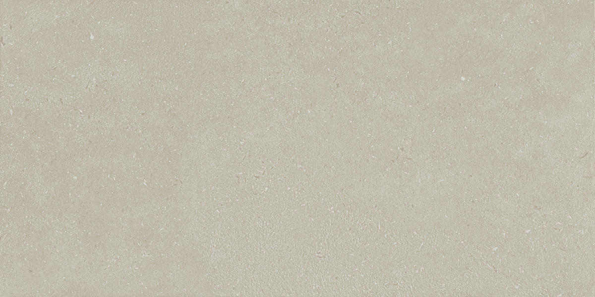 Daltile Outlander 24" x 48" Palazzo Echo