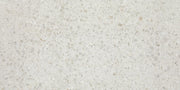 Daltile Outlander 24" x 48" Medio Sterling