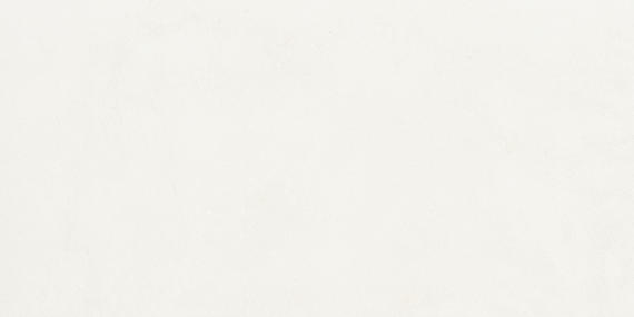 Daltile Portfolio 12" x 24" Microban Ice